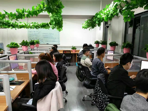 网站建设案例6